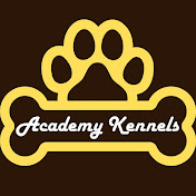 Academy Kennels Dog and Cat Boarding Fort Myers | Cape Coral